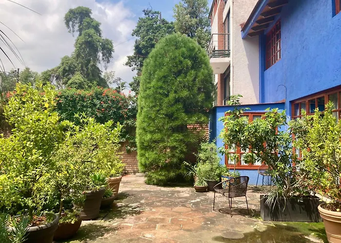 Casa Azul Hamacas 1