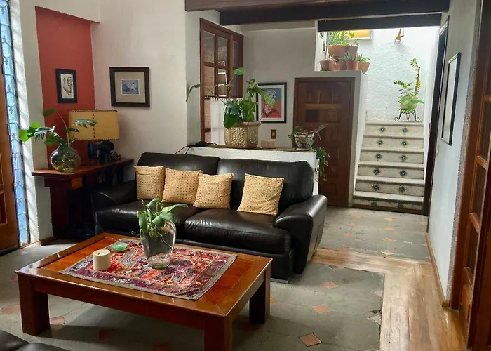 Casa Azul Hamacas 1 Mexico City