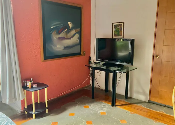 Casa Azul Hamacas 1 Mexico City