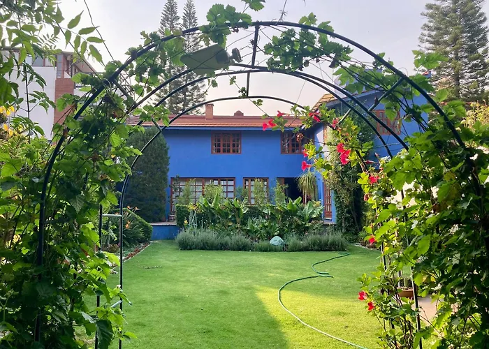 Casa Azul Hamacas 1 * Mexico City